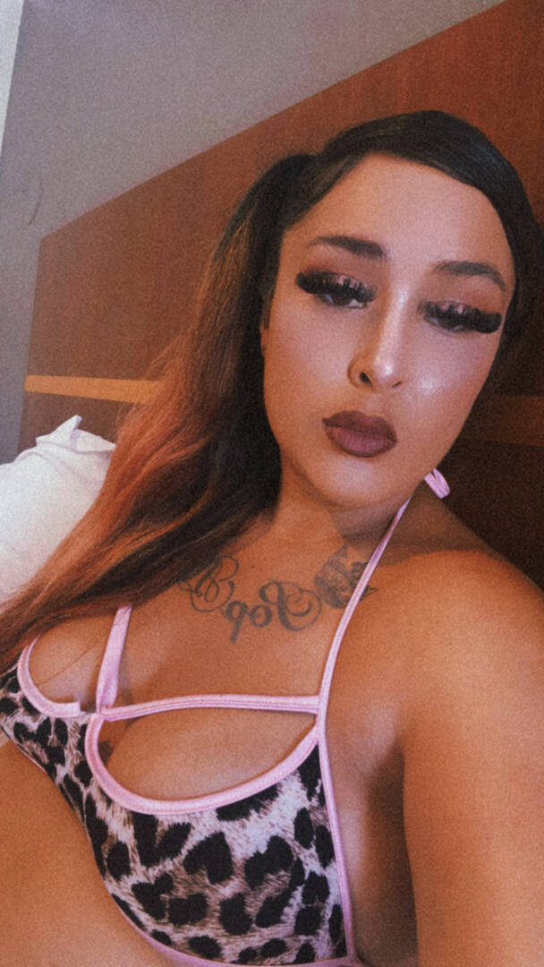 Envi - Independent Female Dallas Escort